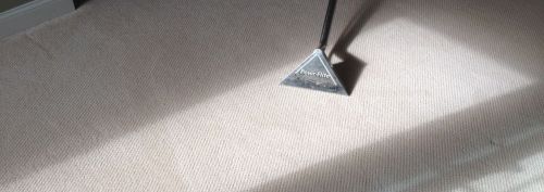 the best Chingford E4 carpet cleaning in my area
